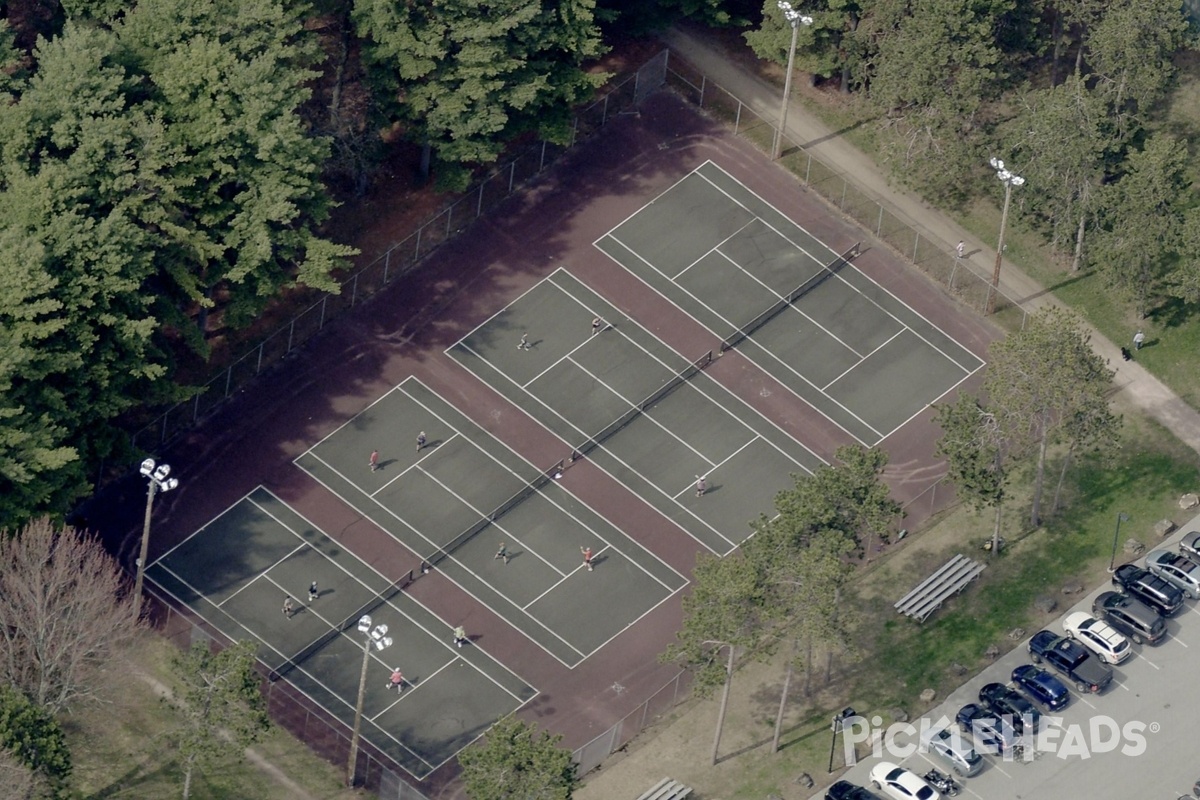 Photo of Pickleball at Leddy Park